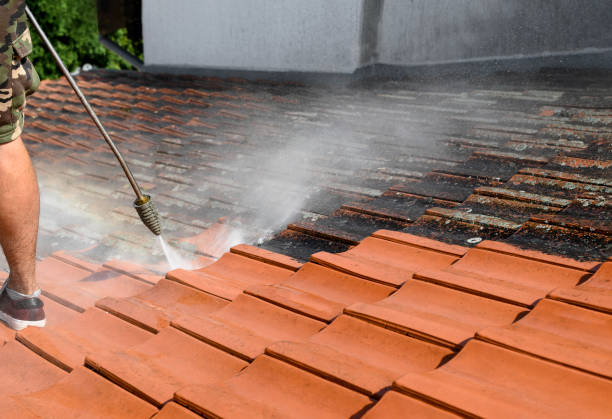Best Affordable Pressure Washing  in Decatur, AR